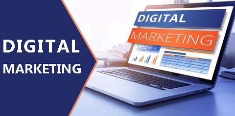 Digital Marketing Internship in Chandigarh