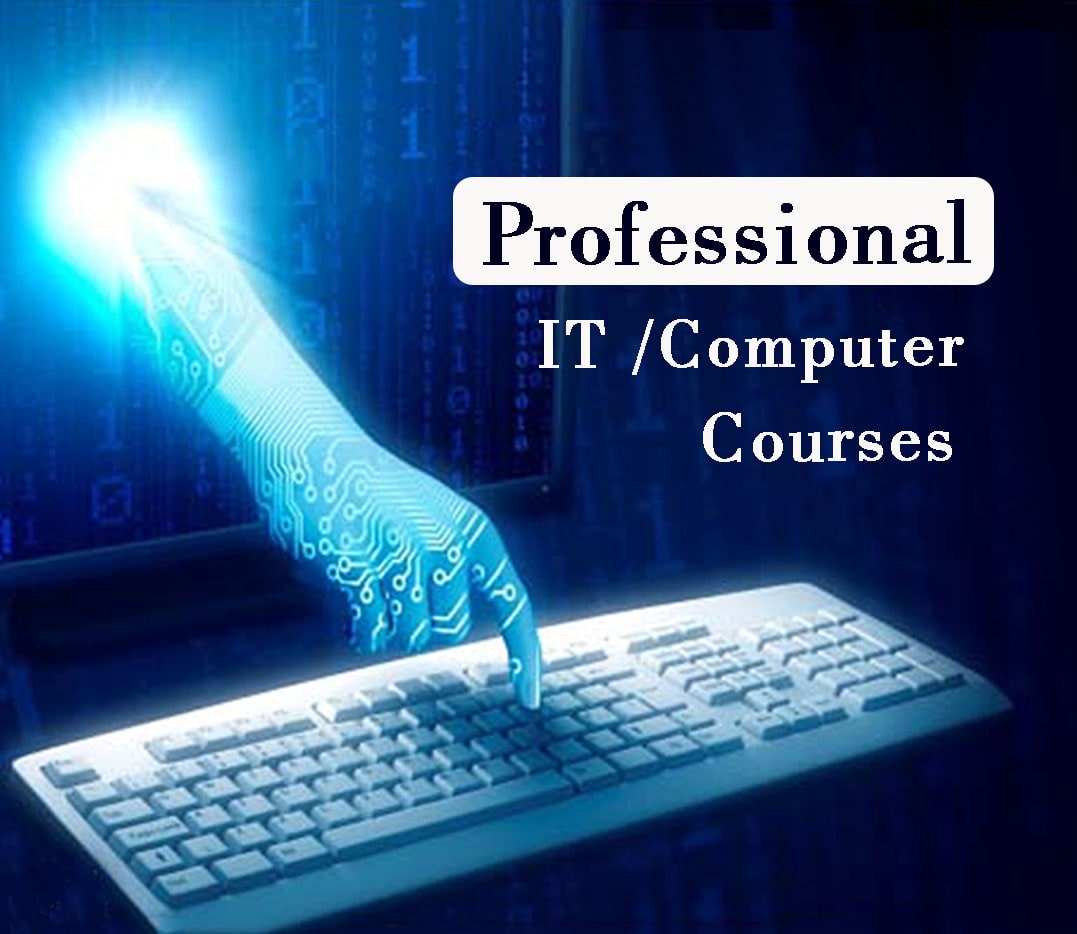 Professional computer Course after 12th in Chandigarh