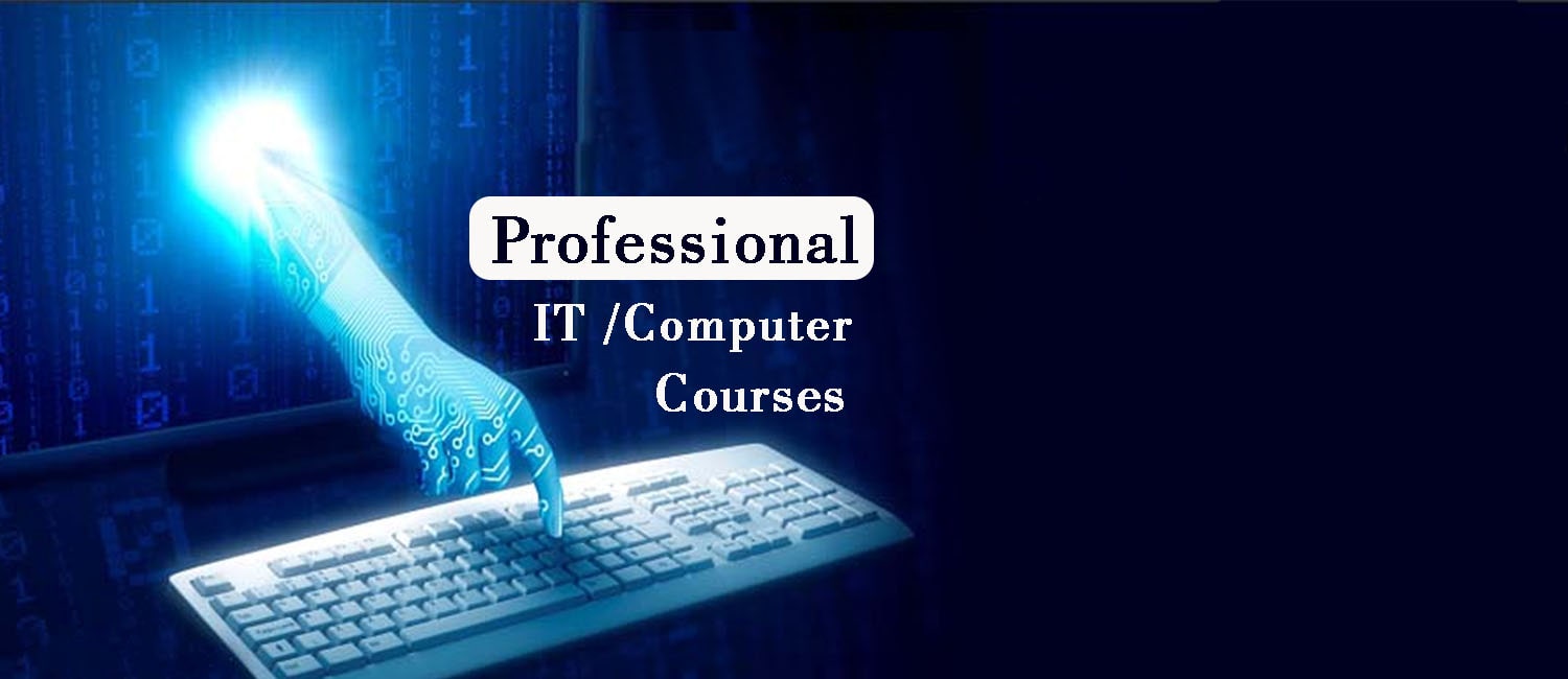 Professional computer Course after 12th in Chandigarh