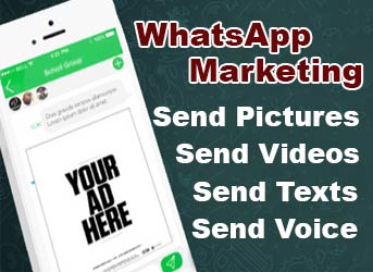 WhatsApp Marketing Training in Chandigarh
