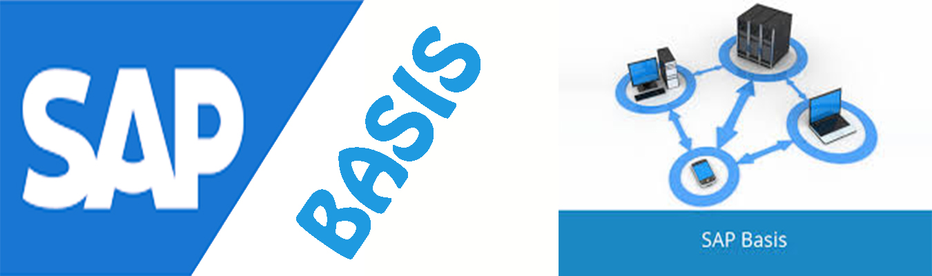 Best SAP Basis Industrial Training Course in Chandigarh Mohali - ThinkNEXT
